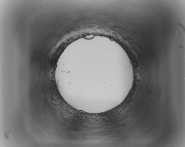 X0000099531495200806131116