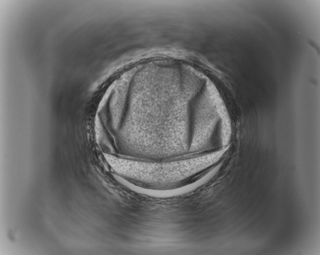 X0000099531496200806131116