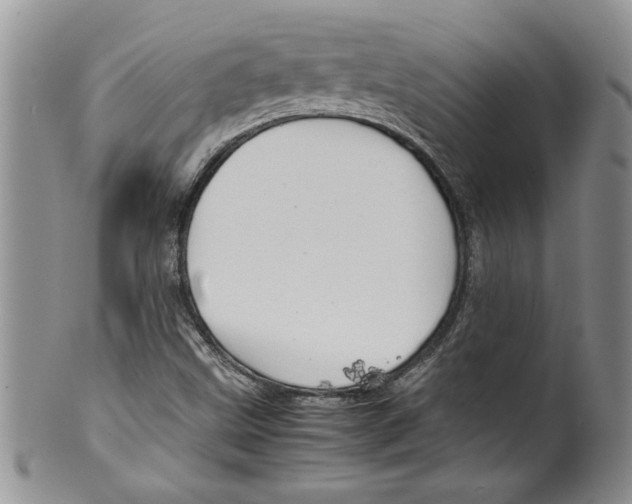 X0000099531499200806131116