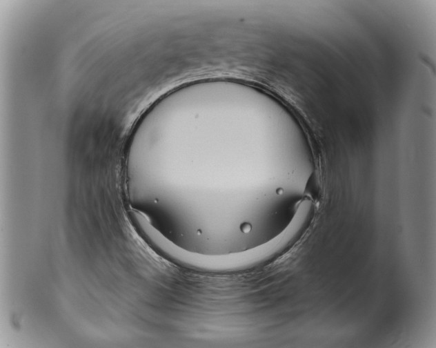 X0000099531500200806131116