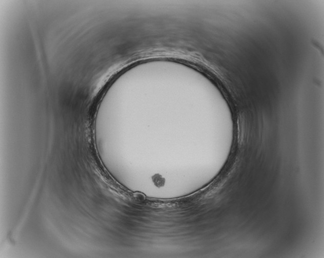 X0000099531501200806131116