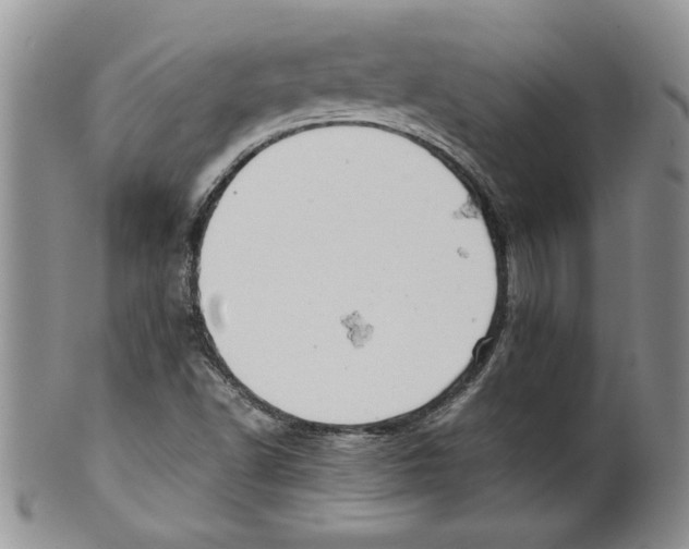 X0000099531502200806131116