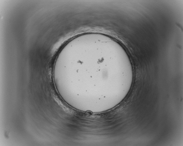 X0000099531503200806131116