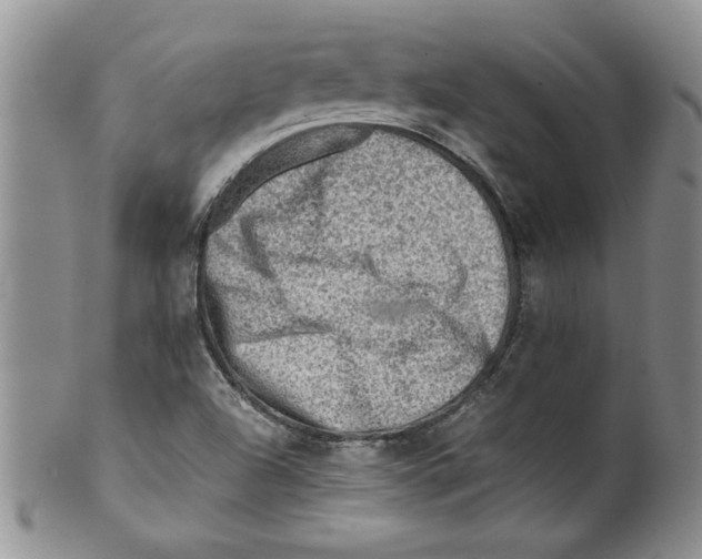 X0000099531504200806131116