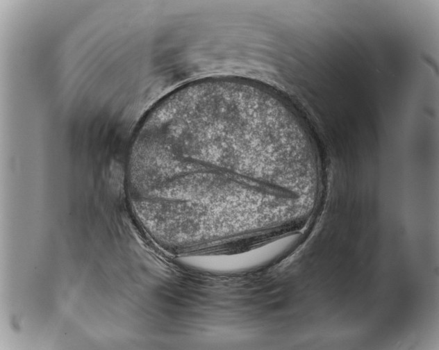 X0000099531505200806131116