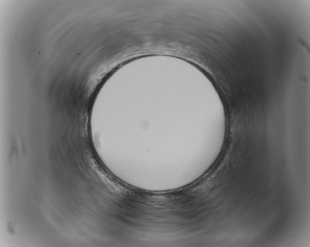 X0000099531507200806131116