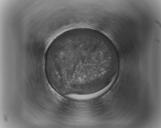 X0000099531508200806131116