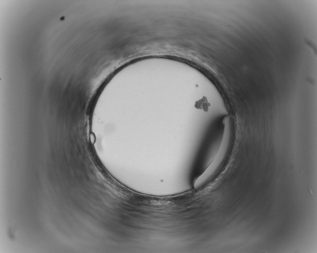 X0000099531509200806131116