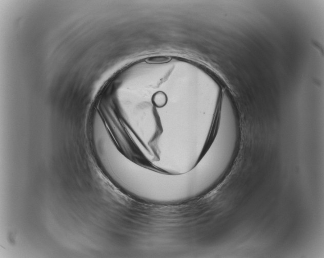 X0000099531510200806131116