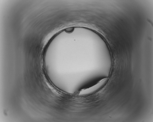 X0000099531511200806131116