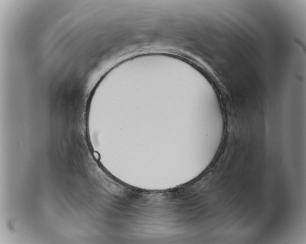 X0000099531512200806131116