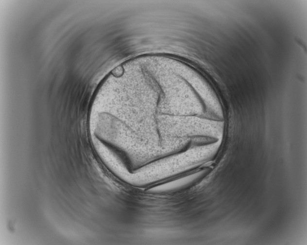 X0000099531513200806131116