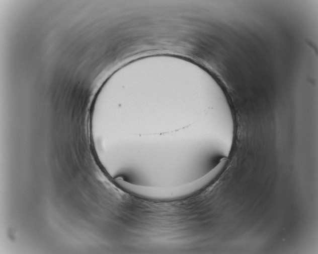 X0000099531516200806131116