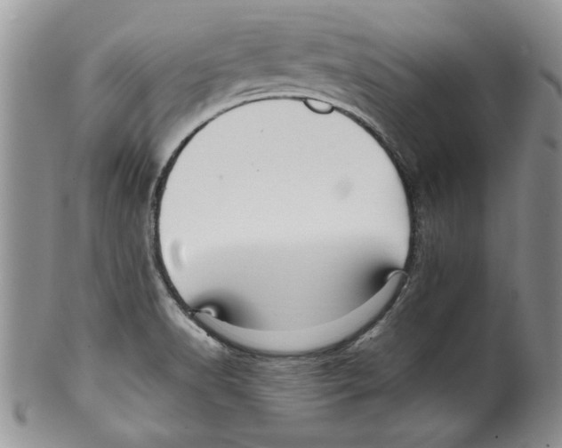 X0000099531518200806131116