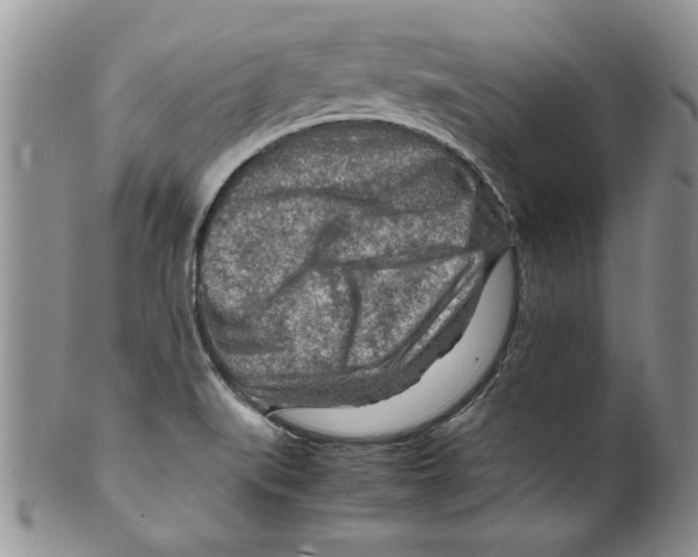 X0000099531519200806131116