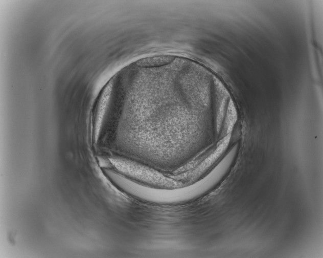 X0000099531520200806131116