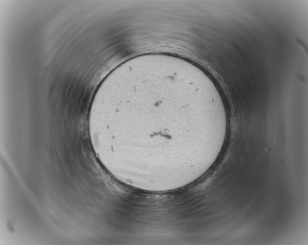 X0000099531521200806131116