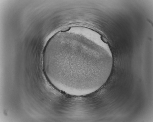 X0000099531522200806131116