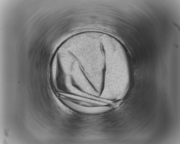 X0000099531523200806131116