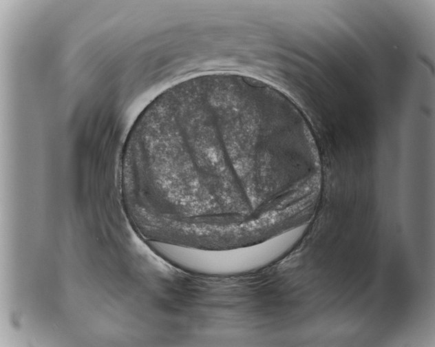 X0000099531527200806131116