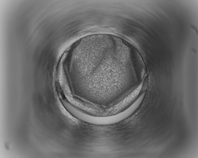 X0000099531528200806131116