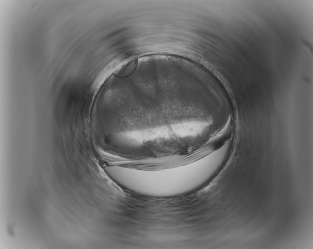 X0000099531529200806131116