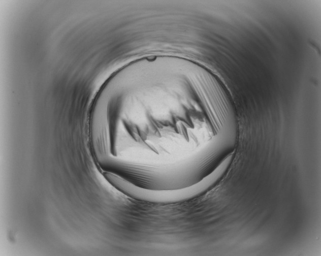 X0000099531531200806131116