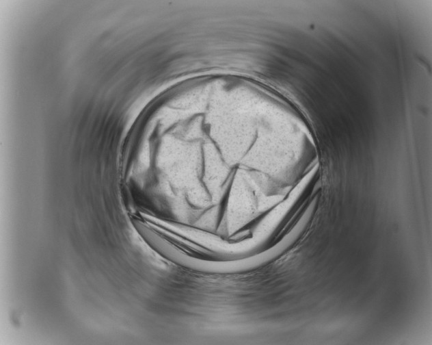 X0000099531532200806131116