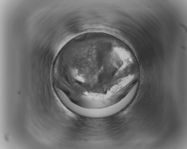 X0000099531533200806131116