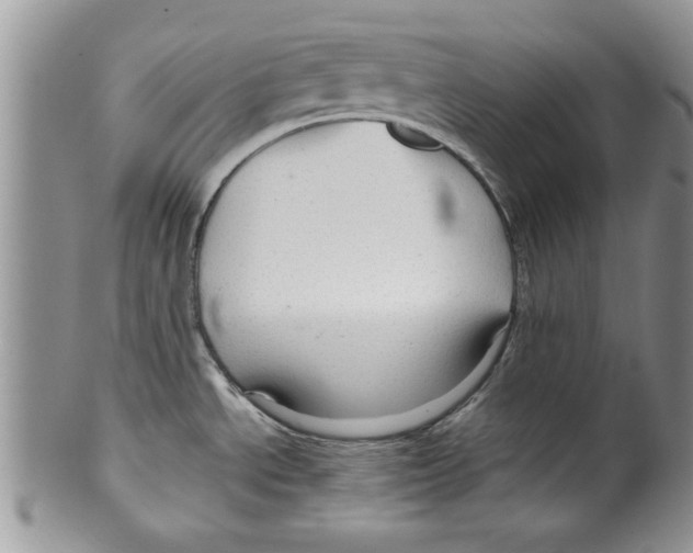 X0000099531534200806131116