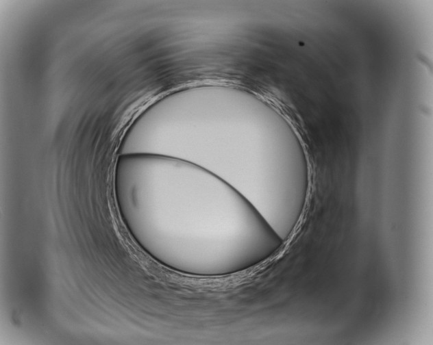 X0000099540001200805160800