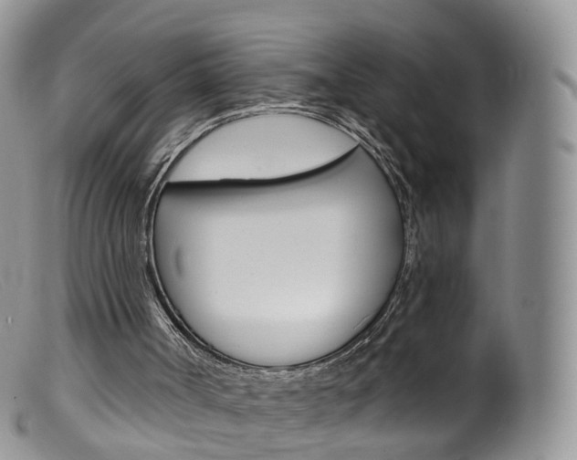 X0000099540002200805160800