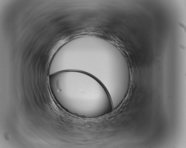 X0000099540003200805160800