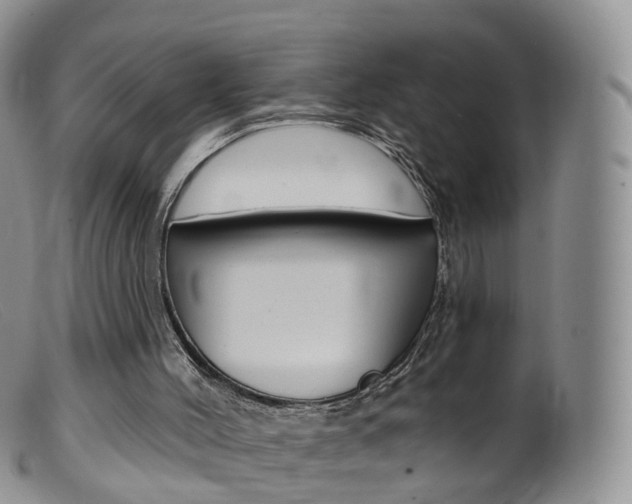 X0000099540004200805160800