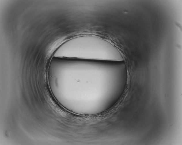 X0000099540005200805160800