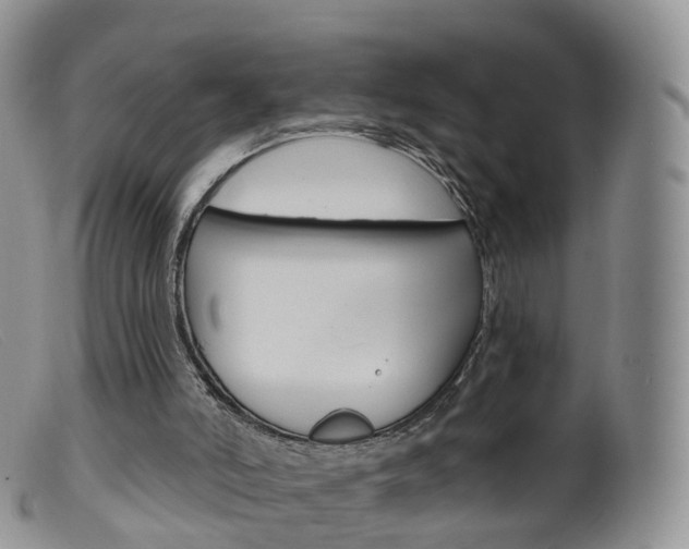 X0000099540006200805160800