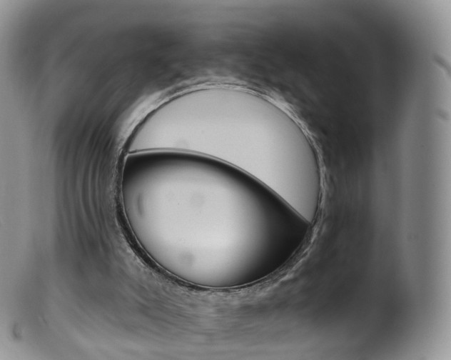 X0000099540007200805160800