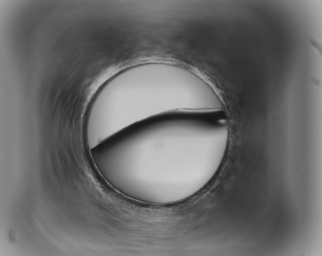 X0000099540008200805160800