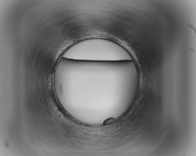 X0000099540010200805160759