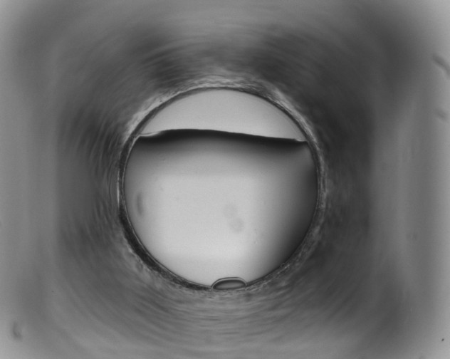 X0000099540011200805160759