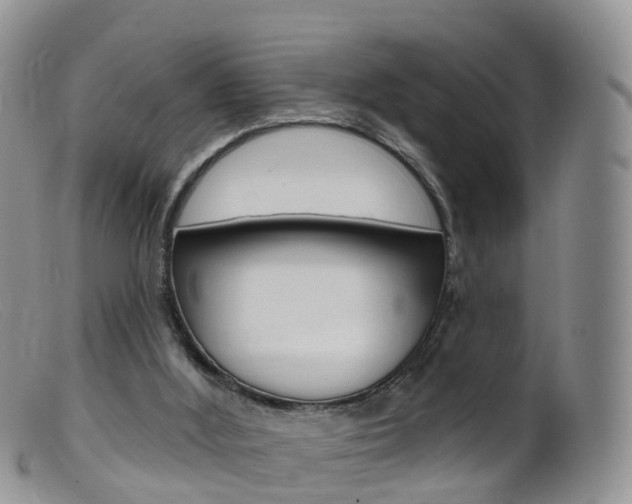 X0000099540012200805160759