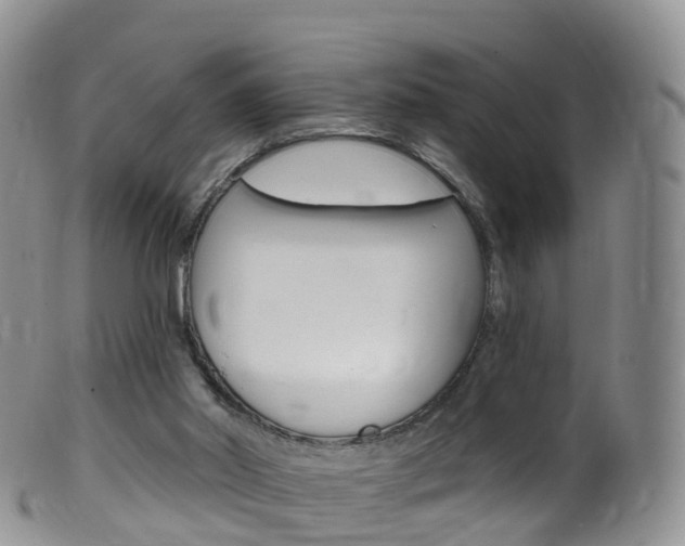 X0000099540014200805160759
