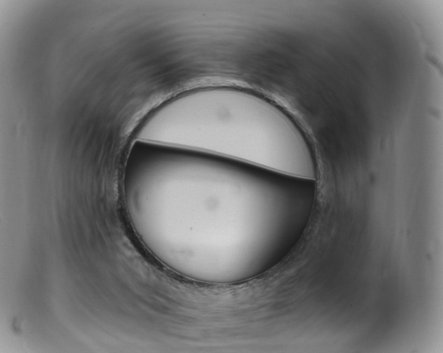 X0000099540015200805160759