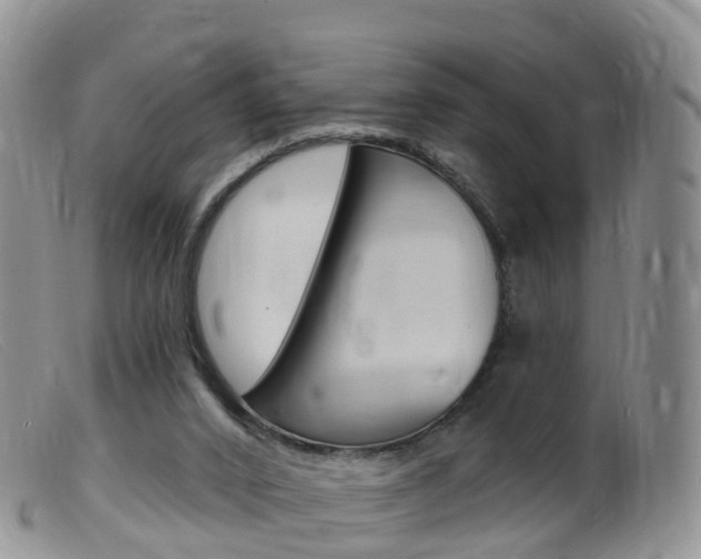 X0000099540016200805160759
