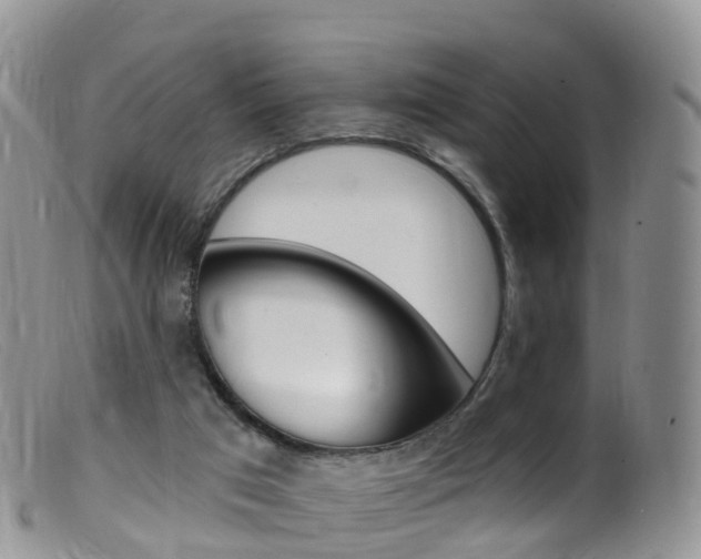 X0000099540017200805160759