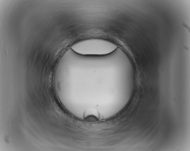 X0000099540018200805160759