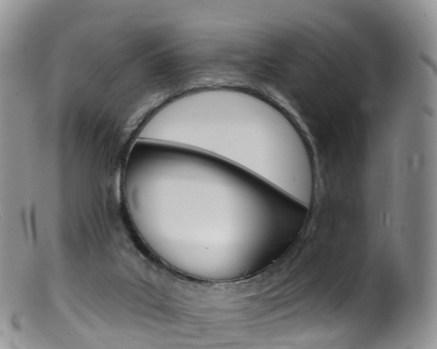 X0000099540019200805160759