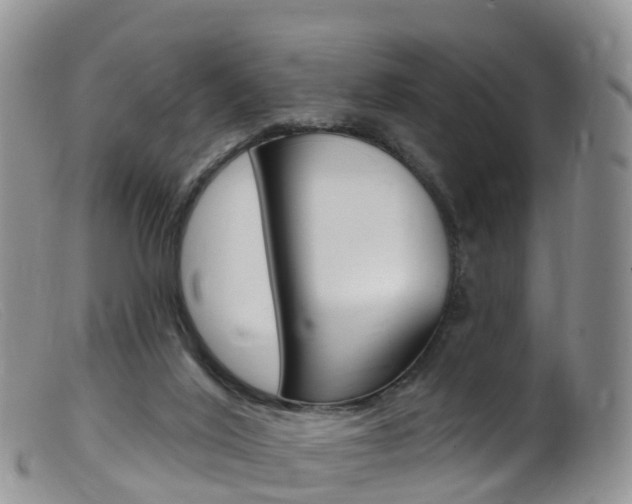 X0000099540020200805160759