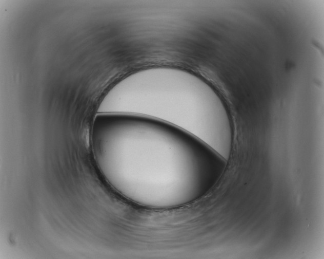 X0000099540021200805160759