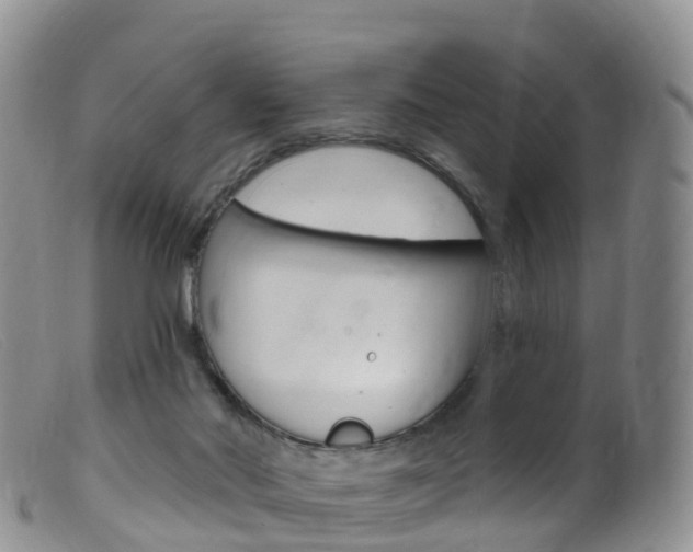 X0000099540022200805160759